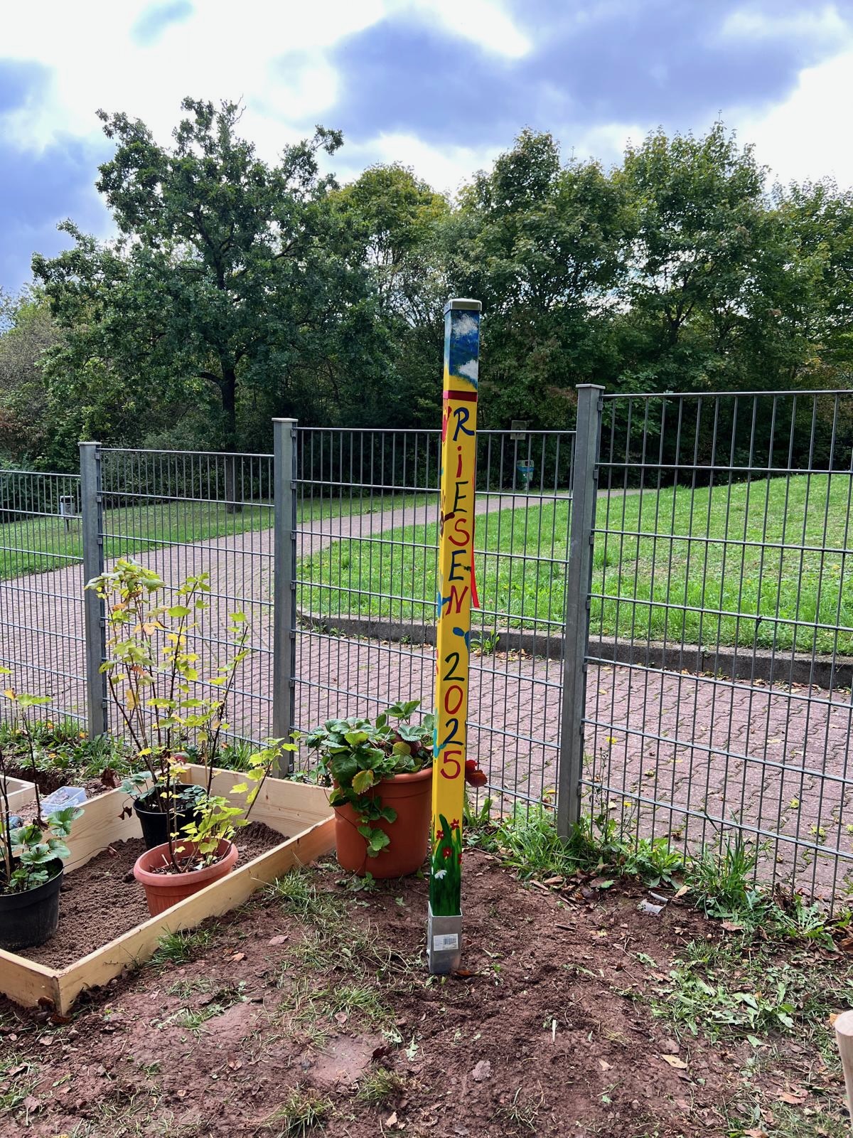 c4324983 7ccf 4d5a b1ef ae03a501b7f5